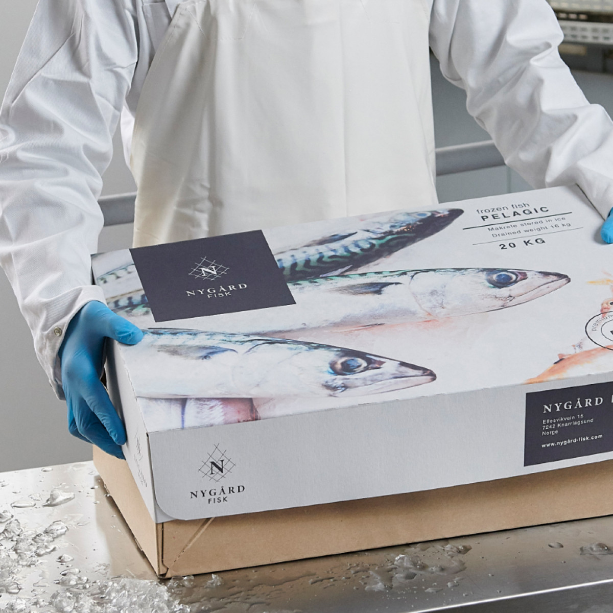 Arbeiter verschließt eine Hardpappen-Verpackung für mittelgroßen Fisch von Solidus Solutions, die individuell für eine fiktive norwegische Marke entworfen wurde, um die Druckqualität zu demonstrieren.